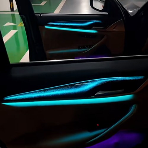 BMW (2018-2023 )  5 Series G38