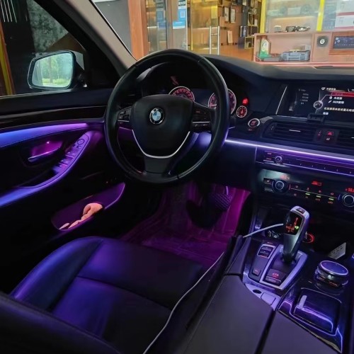 BMW 5 Series(F10/F18) 2012-2017