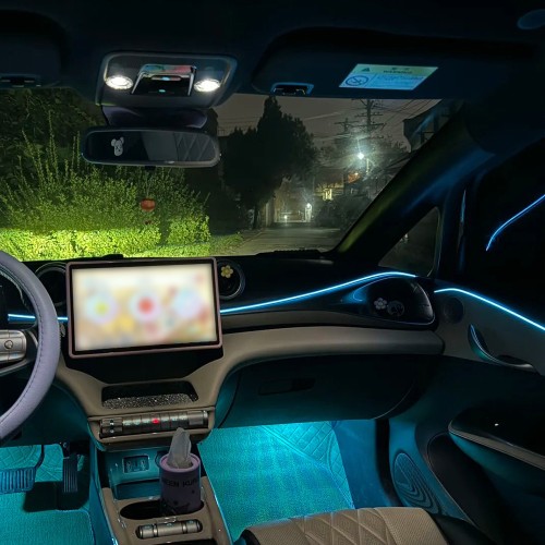 BYD DOLPHIN (2021-2025)
