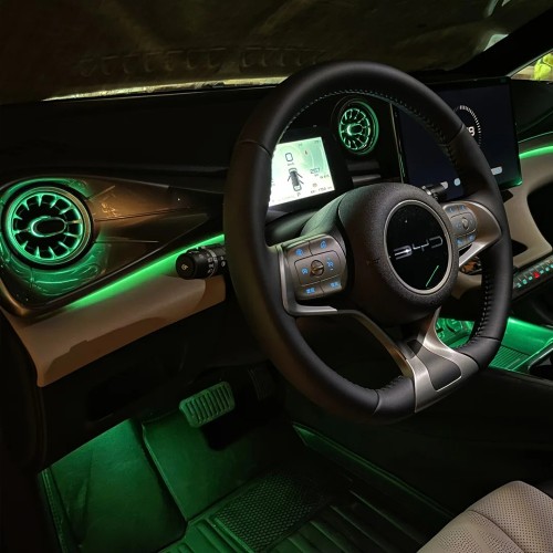 BYD DOLPHIN (2021-2025)