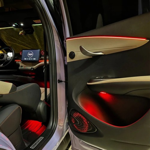 BYD DOLPHIN (2021-2025)