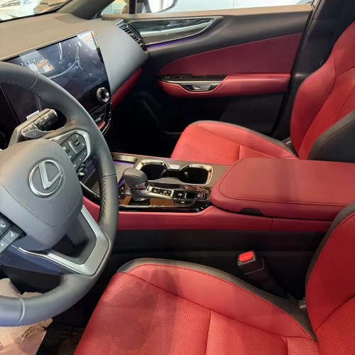 LEXUS NX (2022-2023)