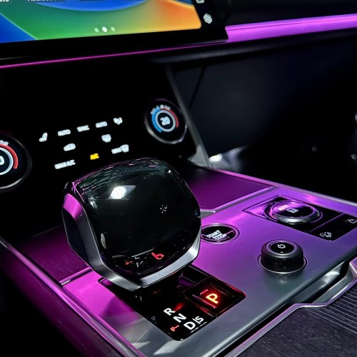 RANGE ROVER EXECUTIVE (2023-2025) (2)