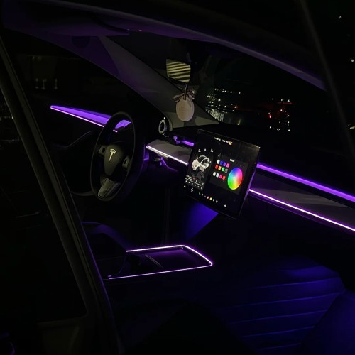 TESLA MODEL Y （2023）
