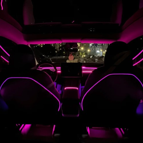 TESLA MODEL Y （2023）