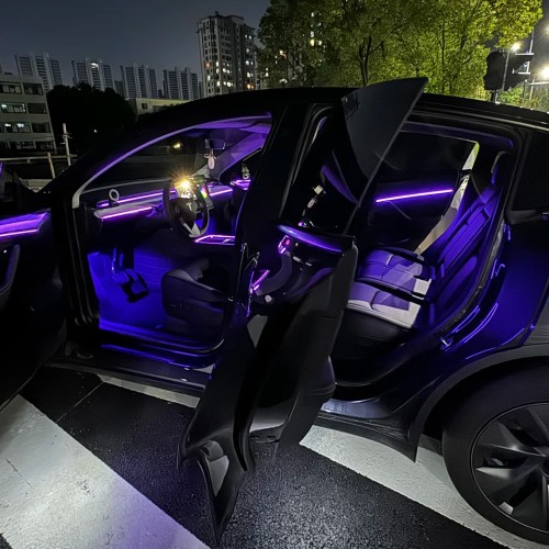 TESLA MODEL Y （2023）