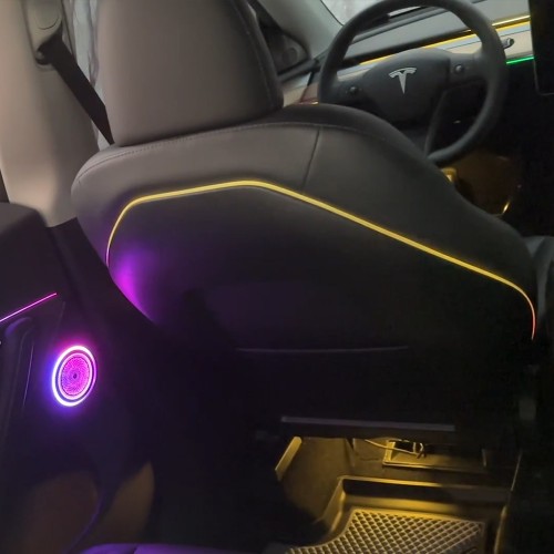 TESLA MODEL Y （2023）