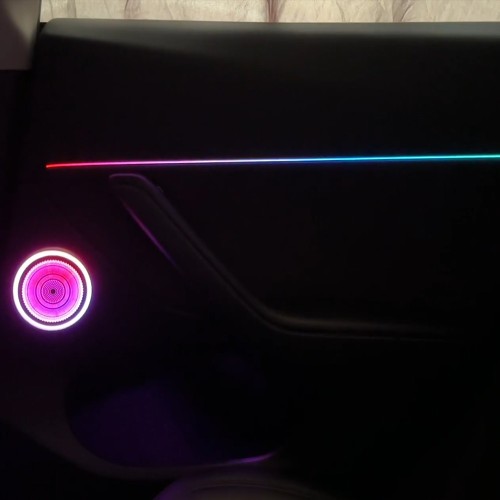 TESLA MODEL Y （2023）