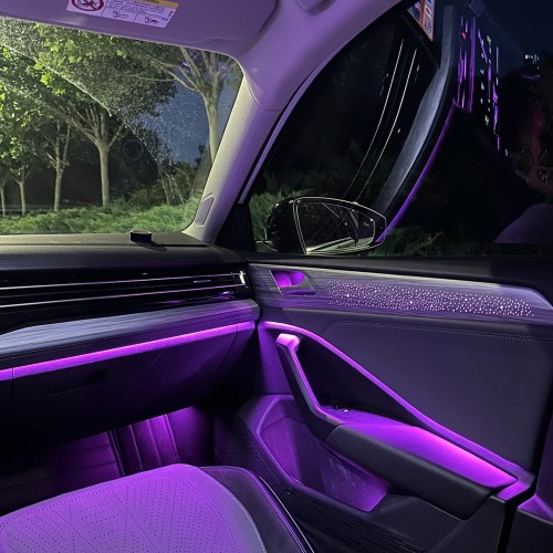 Volkswagen SAGITAR （2019-2022）